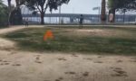 NoPixel-Inspired Baseball Game System