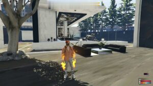 Fashion System