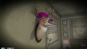 NoPixel Hunting Store MLO